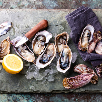 oyster and foodie festivals